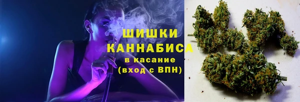 таблы Богданович