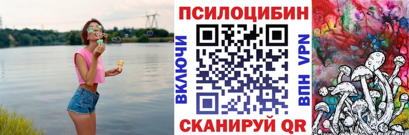 Псилоцибиновые грибы GOLDEN TEACHER  Мамадыш 